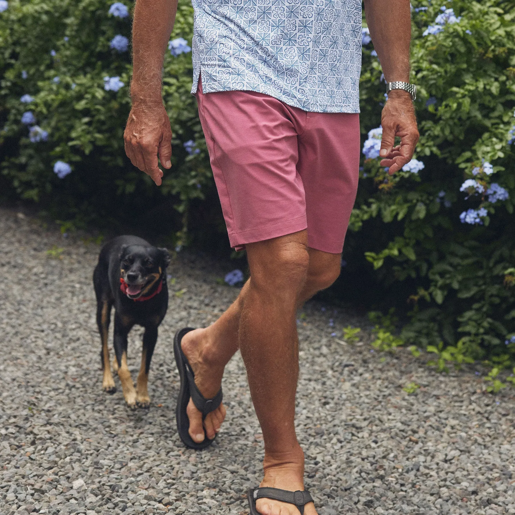 ALOHA 'AINA SHORT