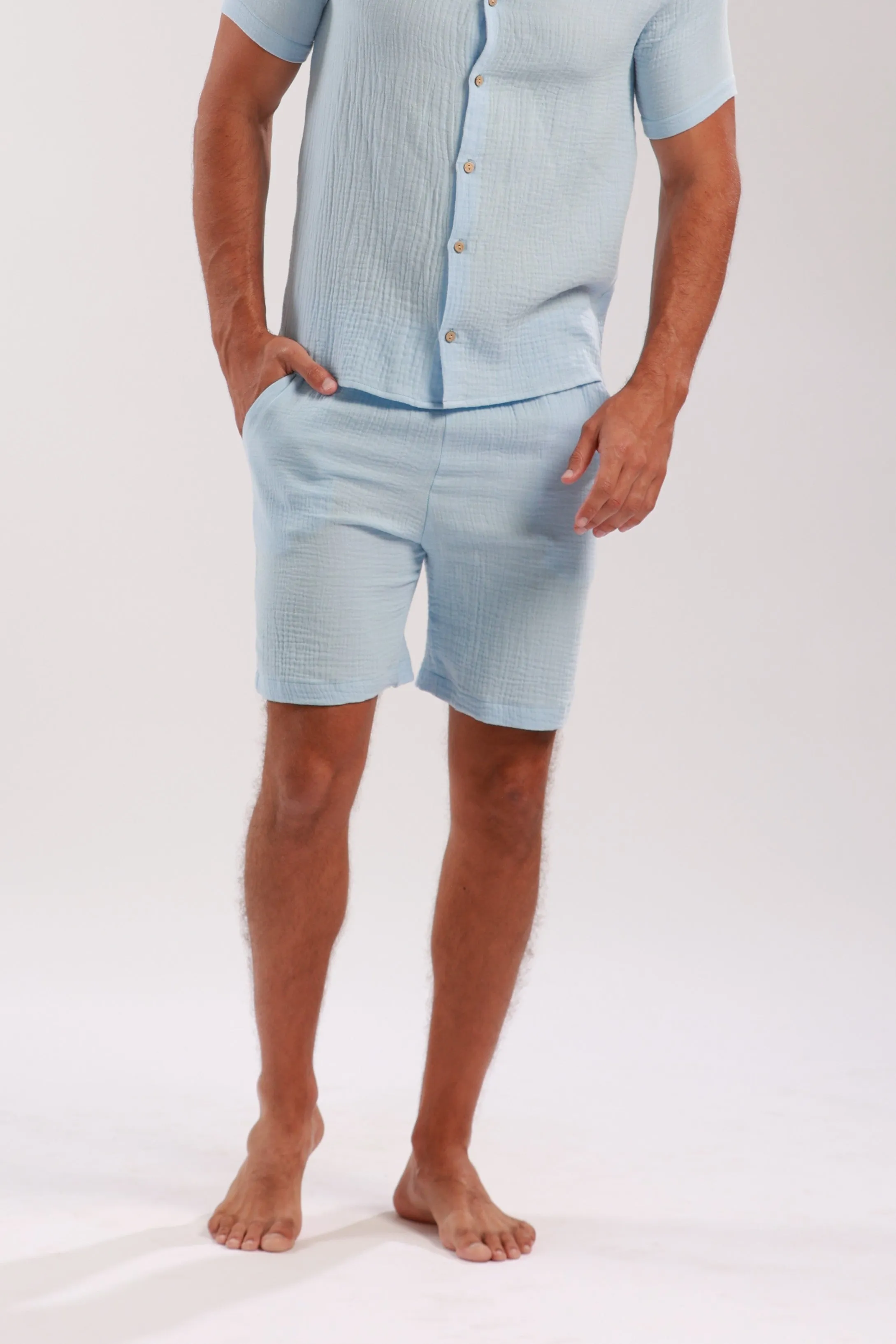 ARTESA BLUE MENS SHORTS