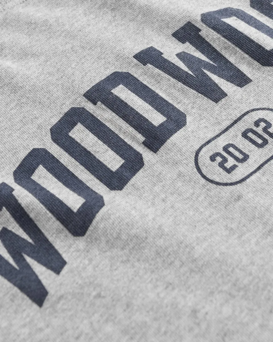 Bobby IVY T-shirt - Grey Melange