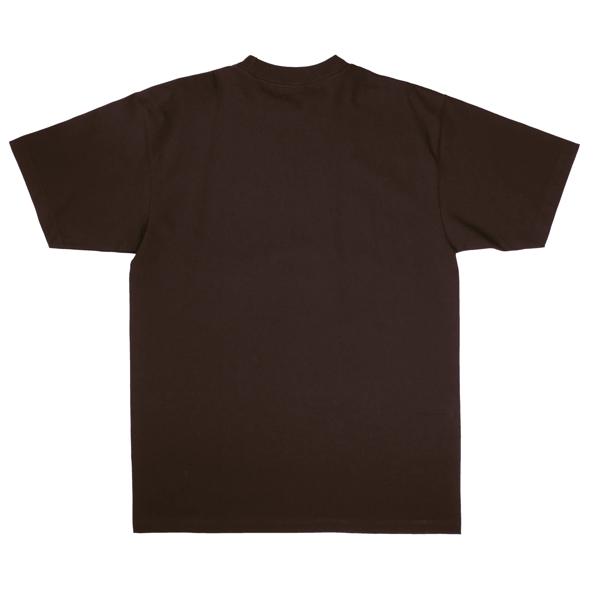 Born From Pain Premium T-Shirt