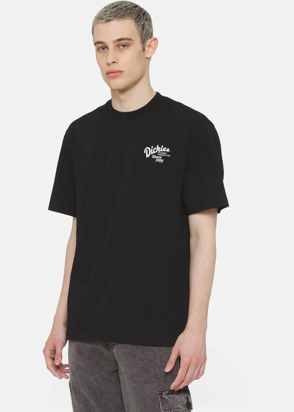 Dickies Men Raven Oranges T-Shirt Black