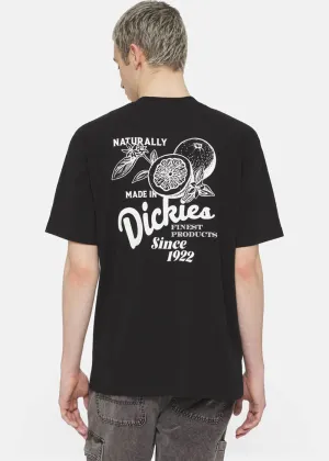 Dickies Men Raven Oranges T-Shirt Black