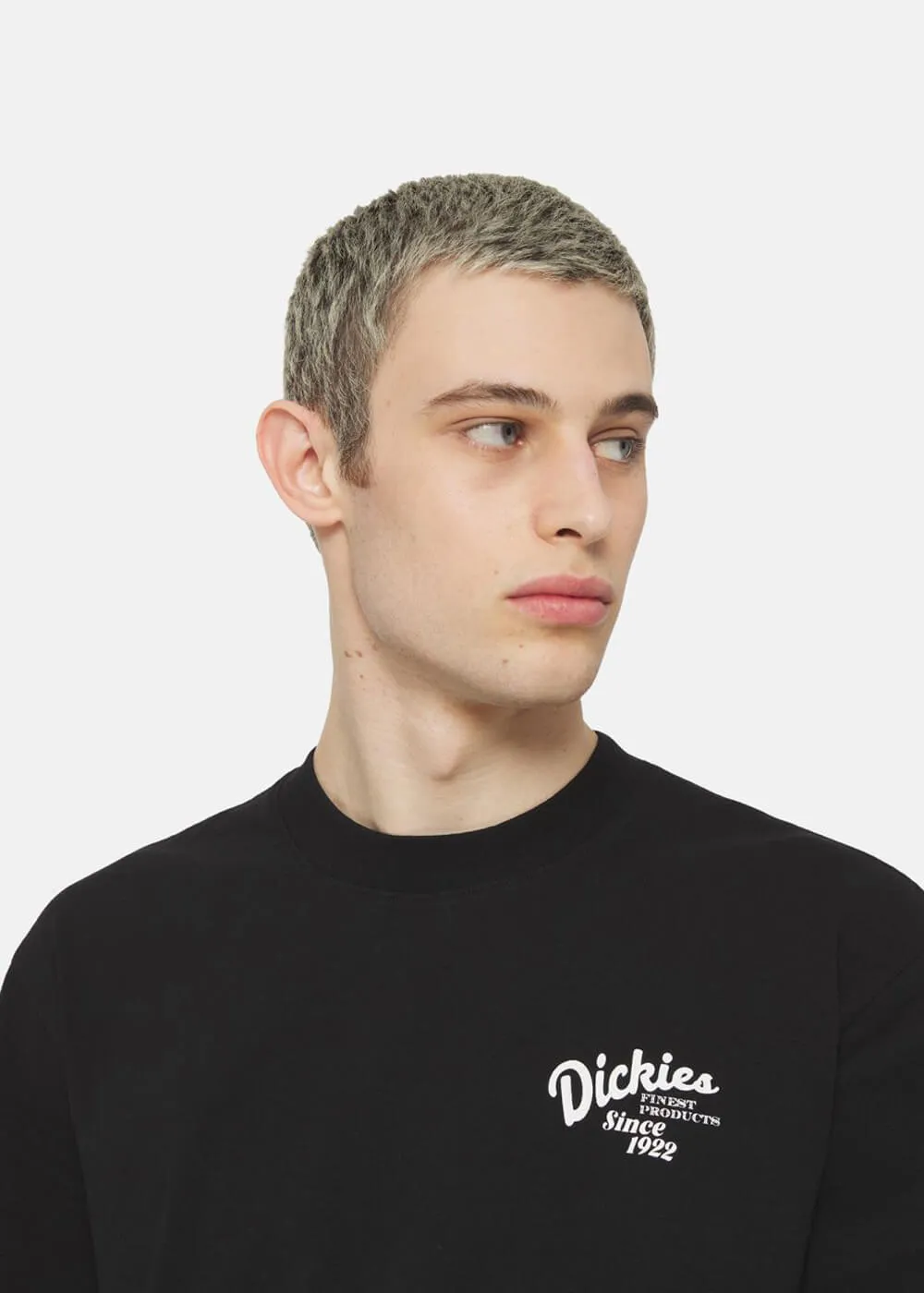 Dickies Men Raven Oranges T-Shirt Black