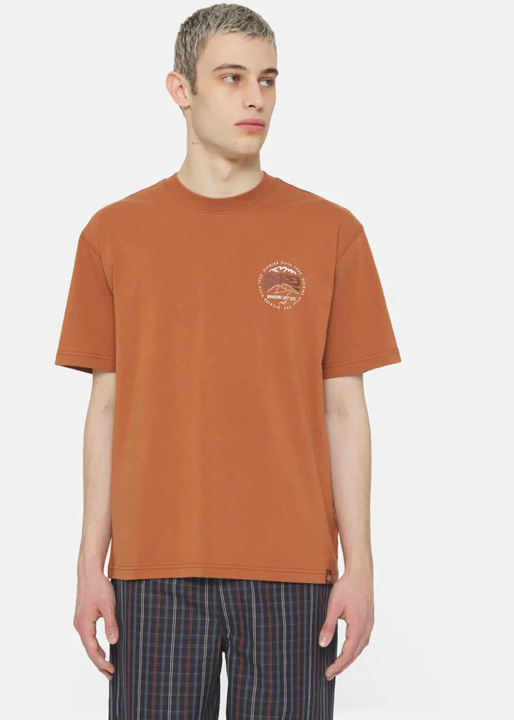 Dickies Men Stanardsville T-Shirt Light Brown