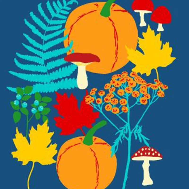 DUNS Sweden Kids Autumn Garden with Pumpkins T-shirt - Blue