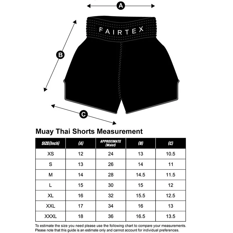 Fairtex Muay Thai Shorts BS1922 Racer Purple