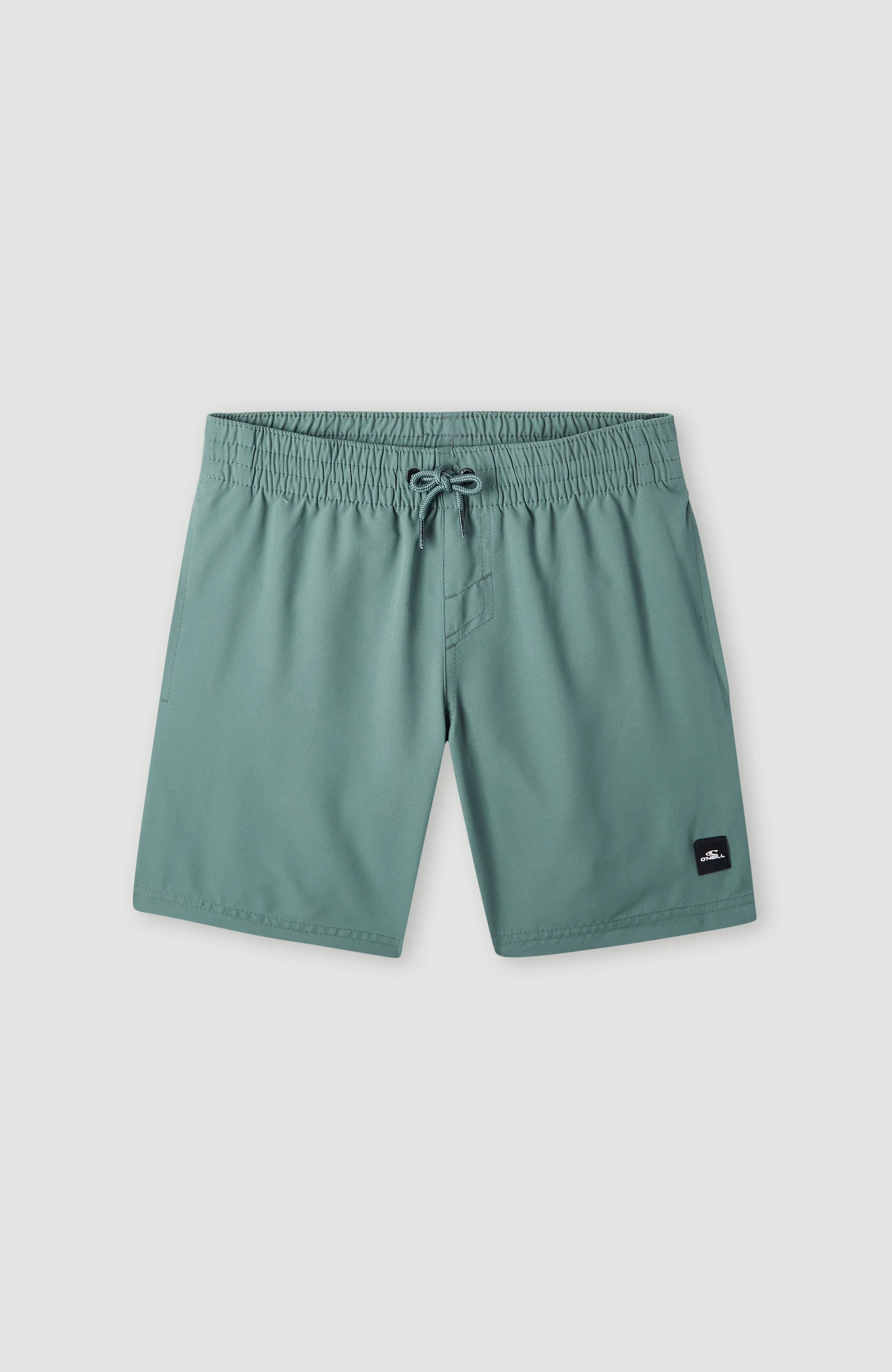 Future Surf Society 14'' Badehose | North Atlantic