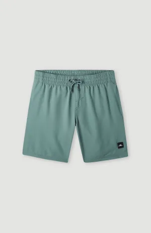 Future Surf Society 14'' Badehose | North Atlantic