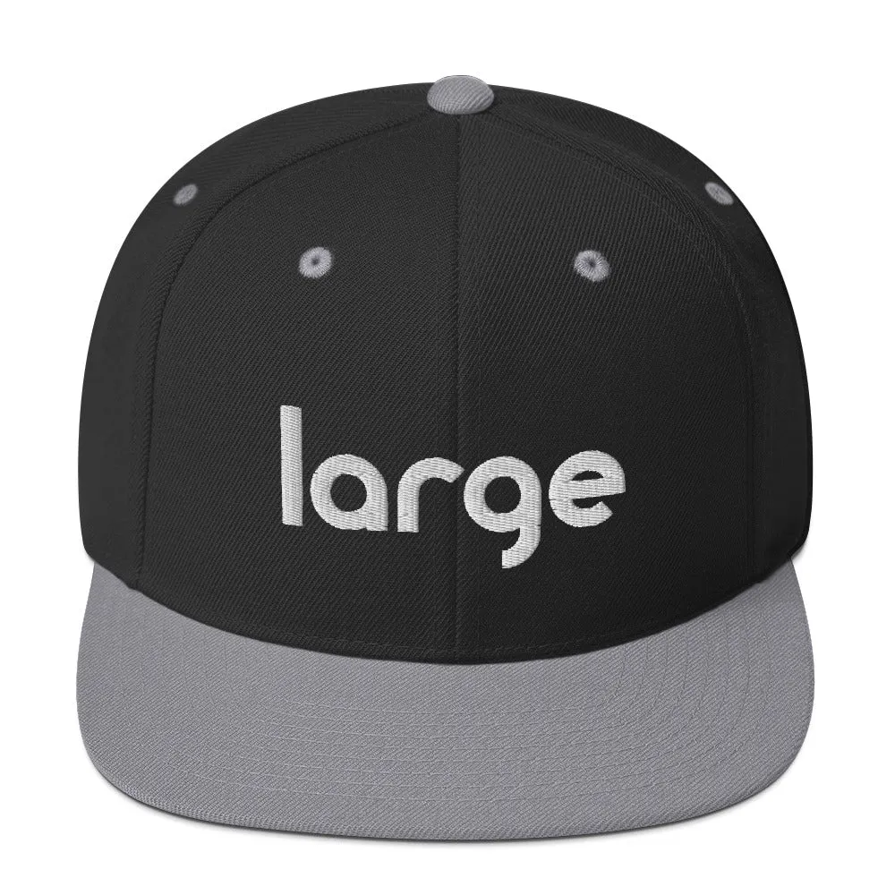 Large Music Snapback Hat