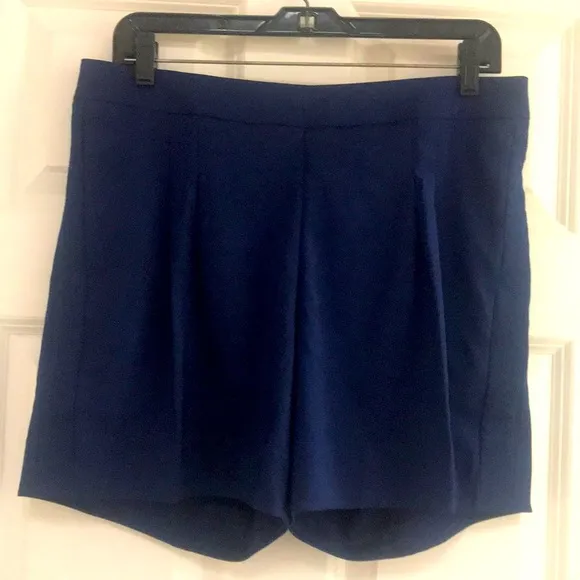 Nike Golf/Tennis/Pickleball Athleisure Shorts NWT!
