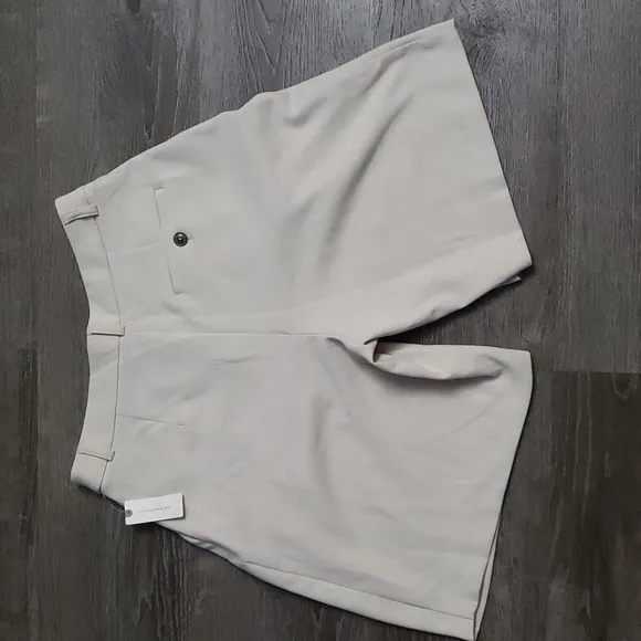 NWT Maeve by Anthropologie Avery Pleated High Waisted &quot;Mom&quot; Dress Shorts Sz 10