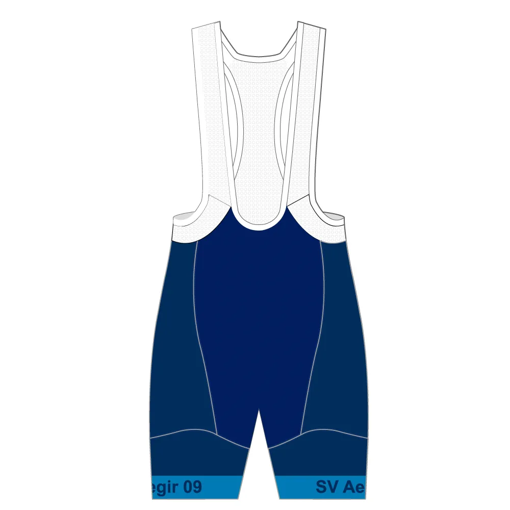 Performance Winter Bib Shorts