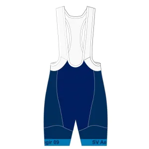 Performance Winter Bib Shorts