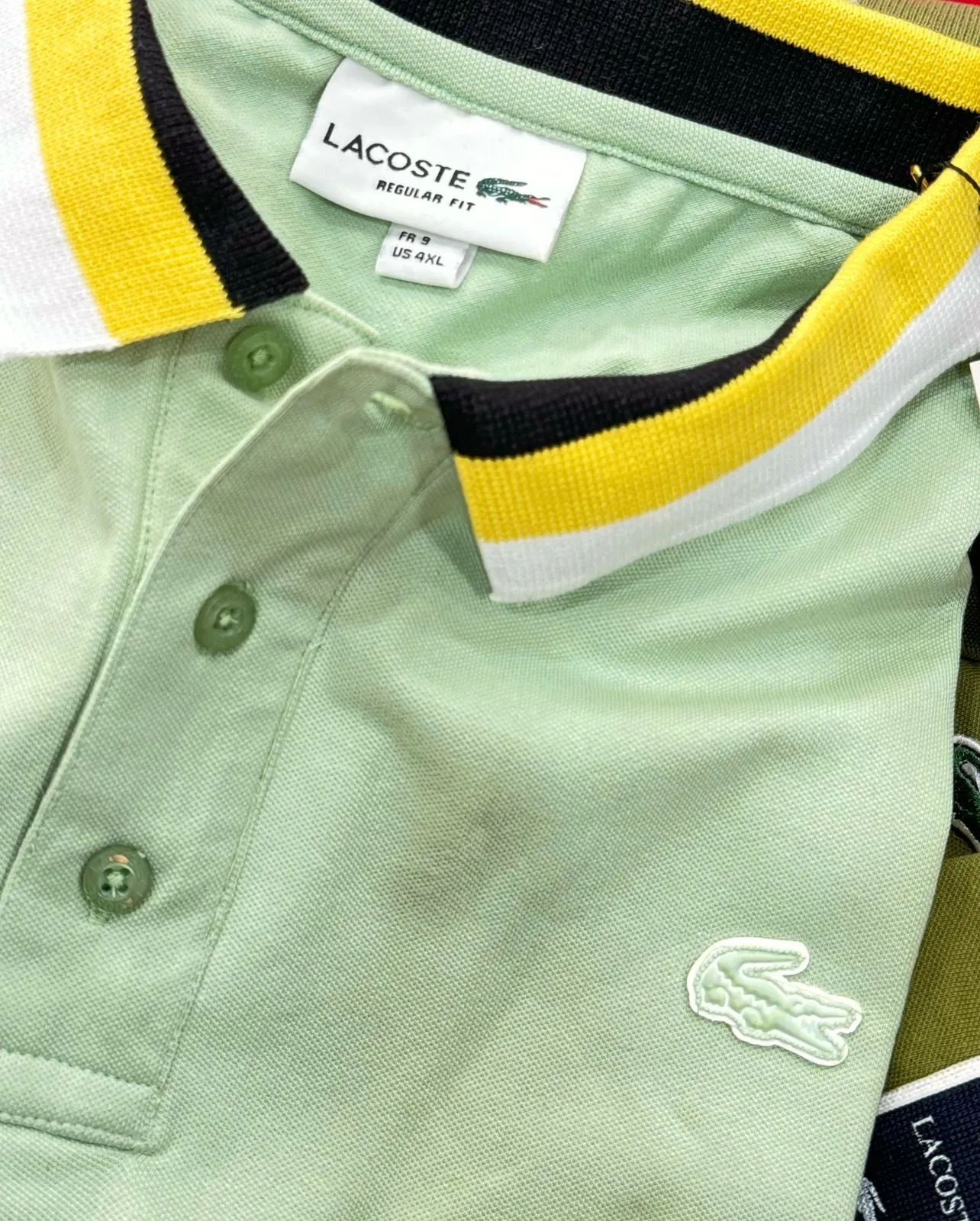 Premium Regular Fit Stretch Mini Pique Polo Shirt