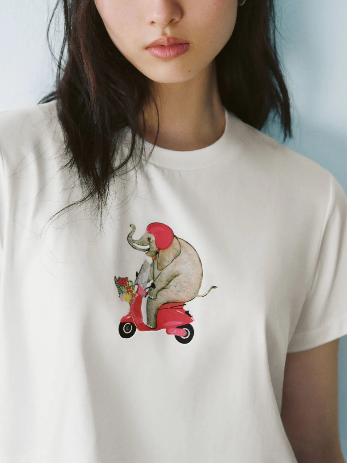 Short Sleeve T-Shirts